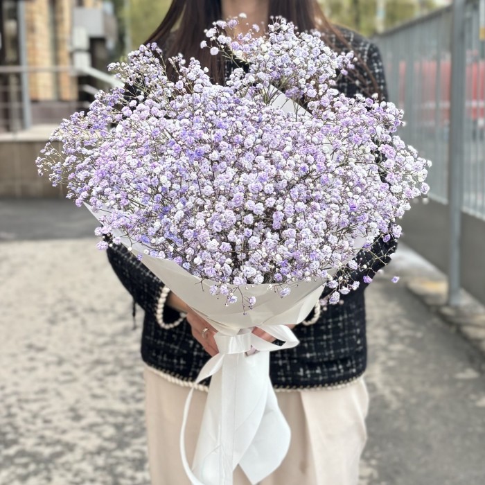 9 лавандовых гипсофил в упаковке