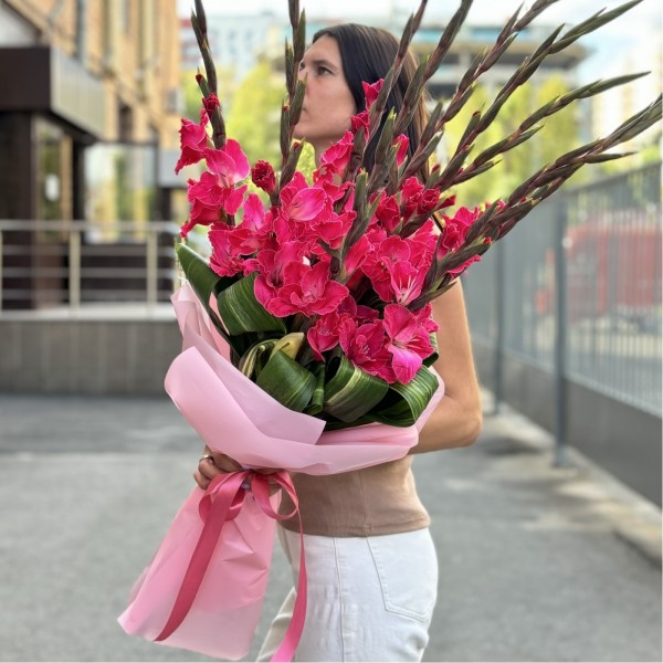 9 малиновых гладиолусов в упаковке