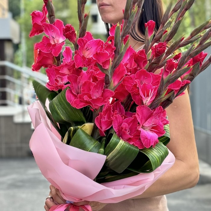 9 малиновых гладиолусов в упаковке