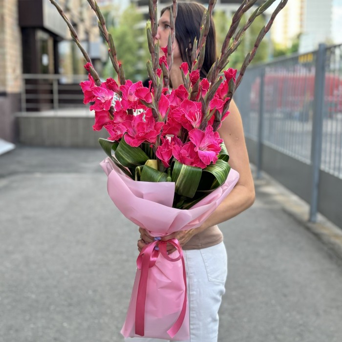 9 малиновых гладиолусов в упаковке