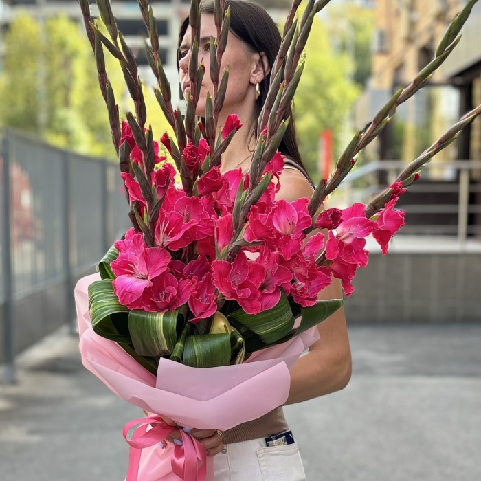 9 малиновых гладиолусов в упаковке