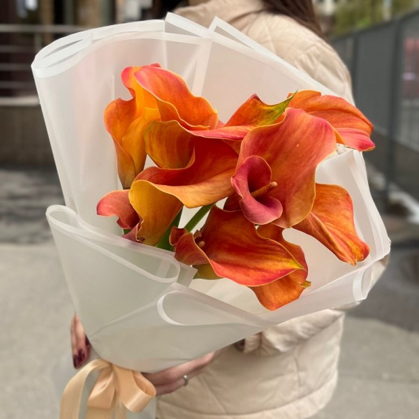 9 оранжевых калл