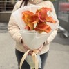 9 оранжевых калл