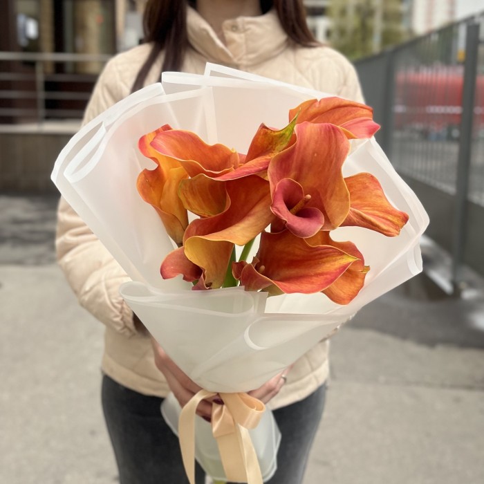 9 оранжевых калл