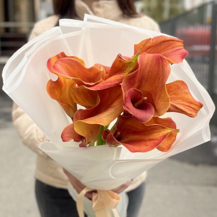 9 оранжевых калл