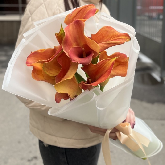 9 оранжевых калл