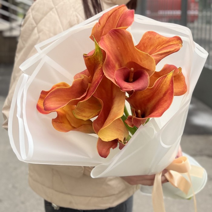 9 оранжевых калл