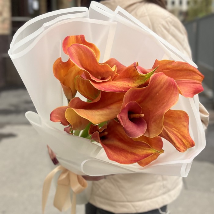 9 оранжевых калл