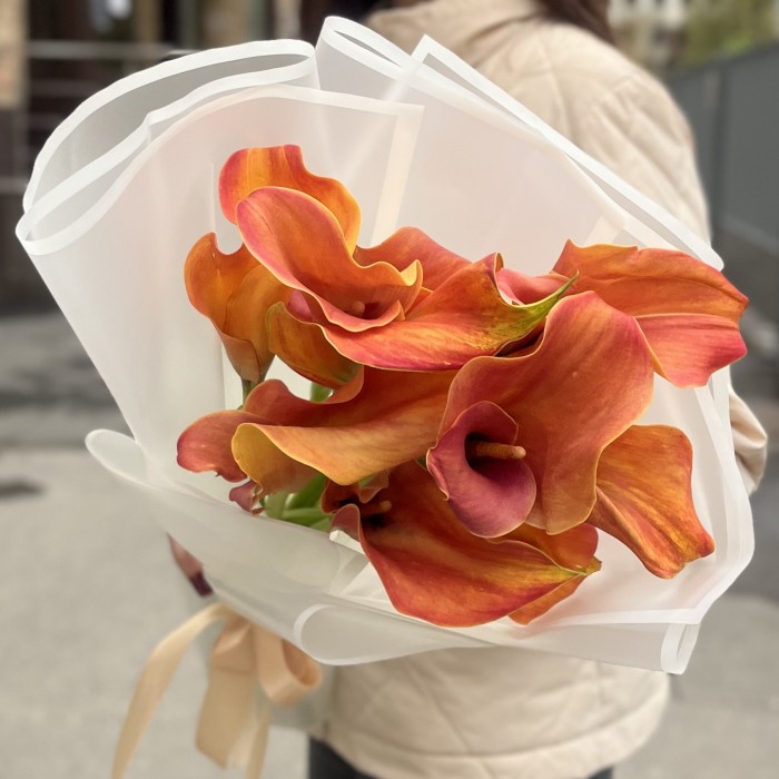 9 оранжевых калл