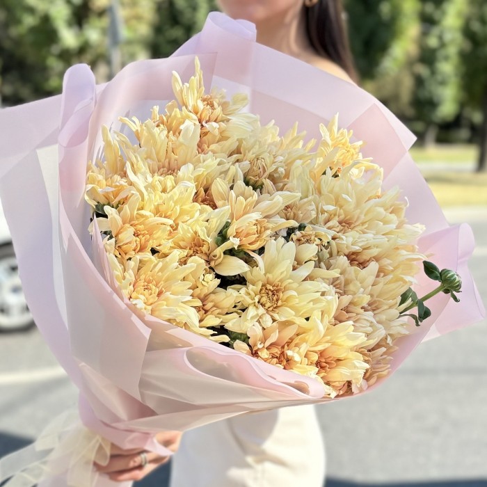 9 персиковых кустовых хризантем Балтика