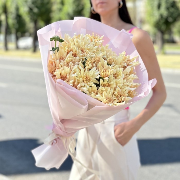 9 персиковых кустовых хризантем Балтика