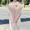 9 персиковых кустовых хризантем Балтика