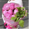 9 розовых пионов Флеминг с малиной