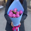 9 пионов Флеминг
