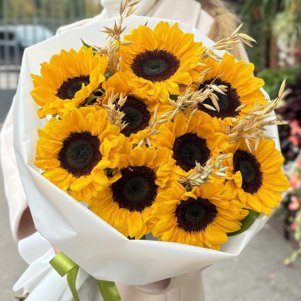 9 подсолнухов с овсом