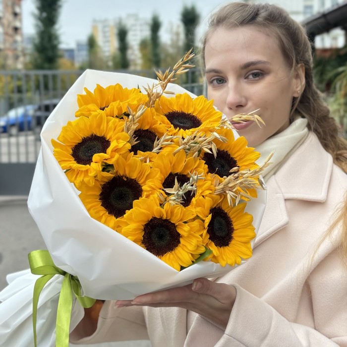 9 подсолнухов с овсом