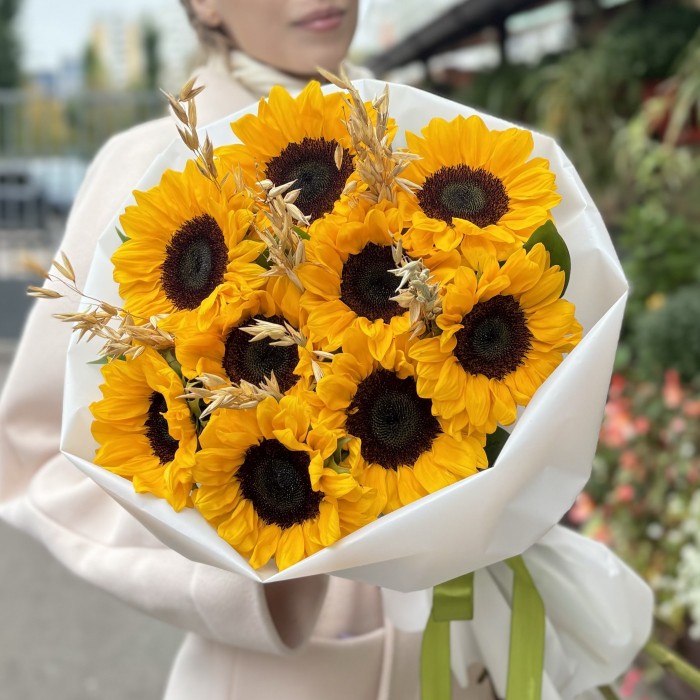 9 подсолнухов с овсом