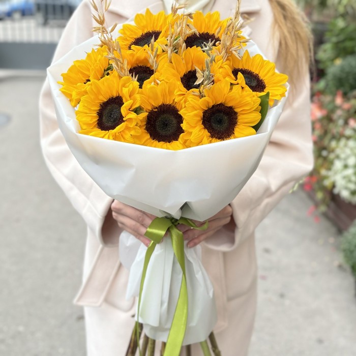 9 подсолнухов с овсом