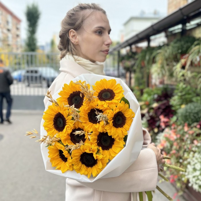 9 подсолнухов с овсом