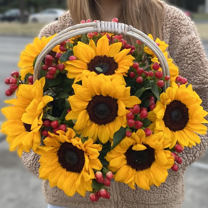 9 подсолнухов с гиперикумом корзине