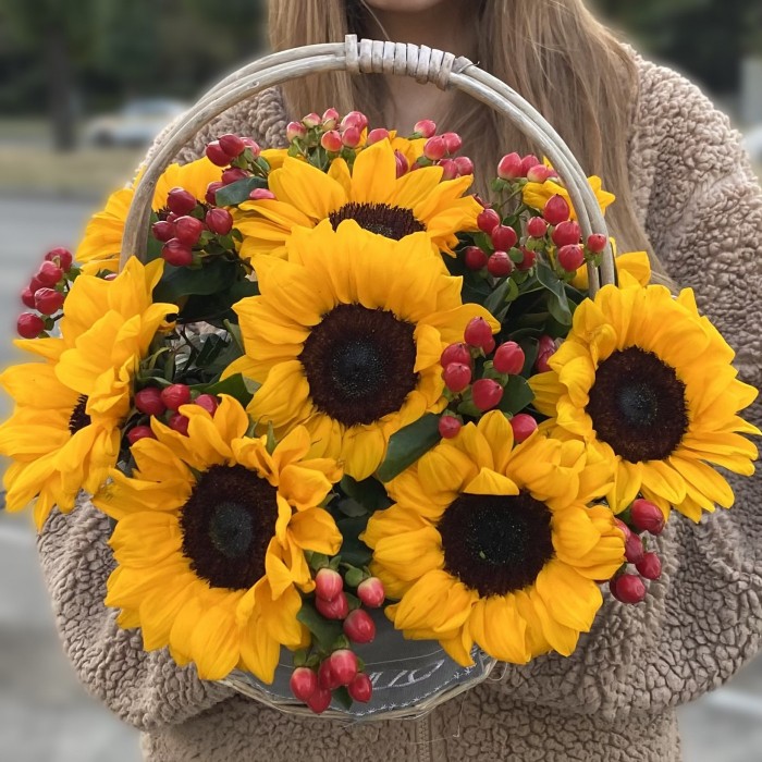 9 подсолнухов с гиперикумом корзине
