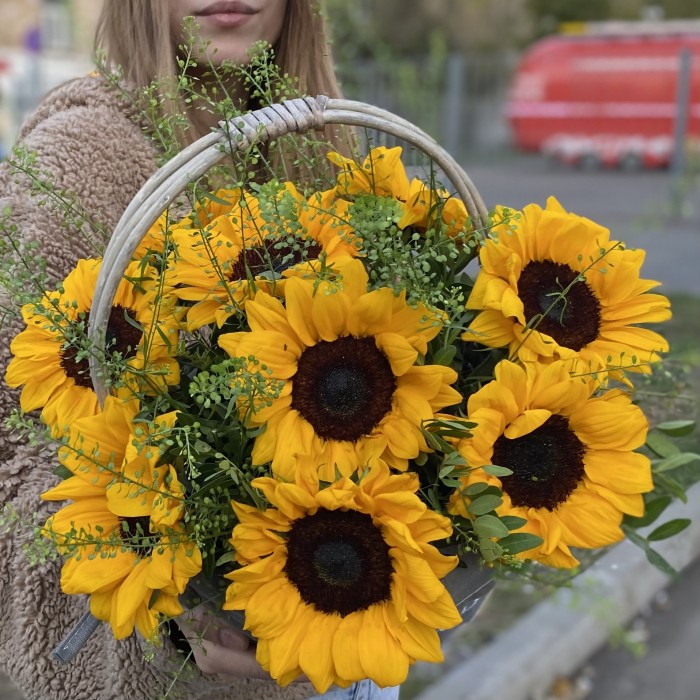 9 подсолнухов с гринбеллом в корзине