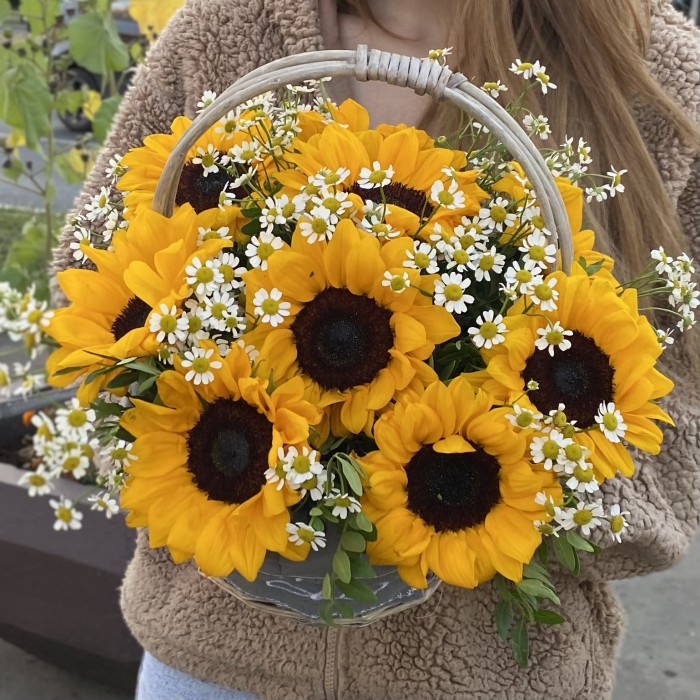 9 подсолнухов с ромашками в корзине