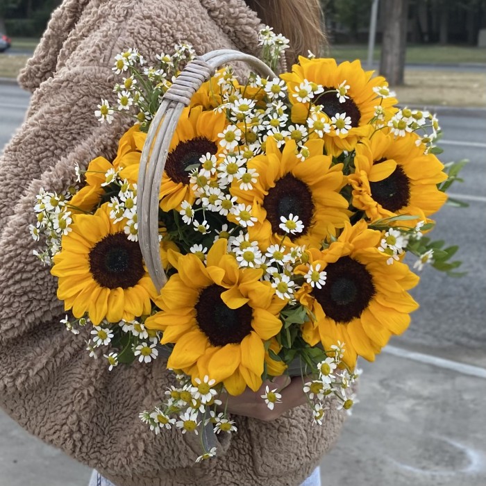 9 подсолнухов с ромашками в корзине