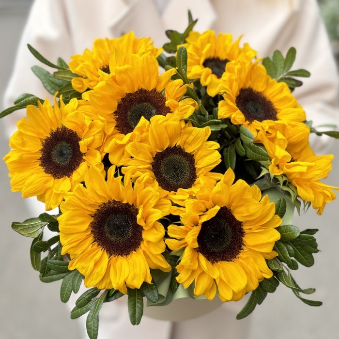 9 подсолнухов в коробке