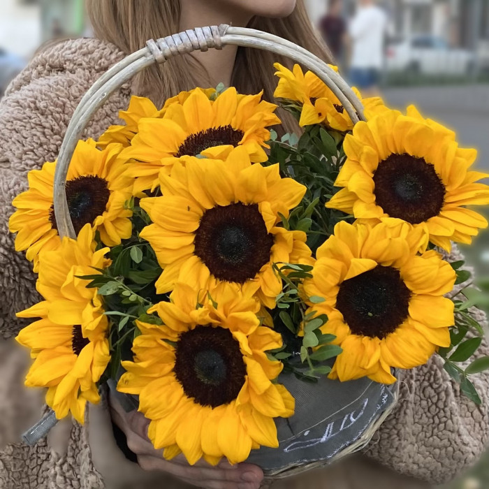 9 подсолнухов в корзине