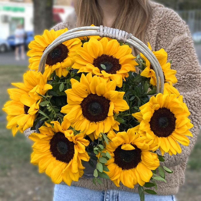 9 подсолнухов в корзине