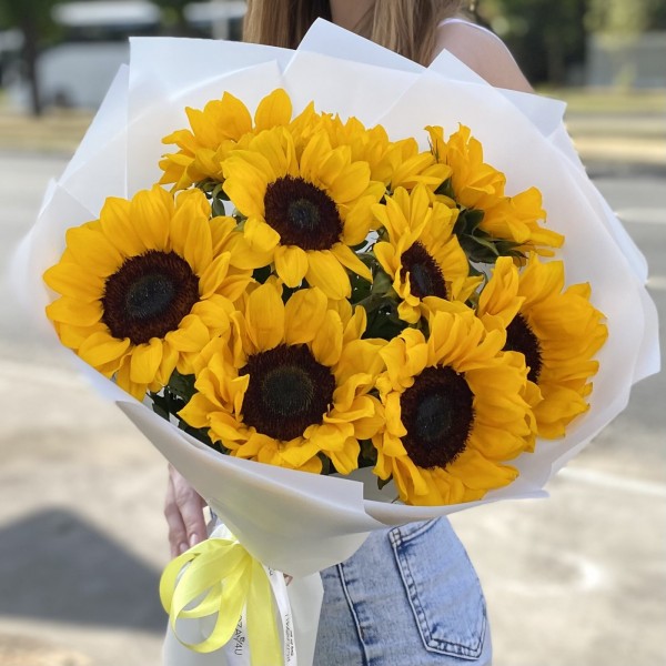 9 подсолнухов в упаковке