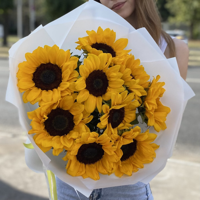 9 подсолнухов в упаковке