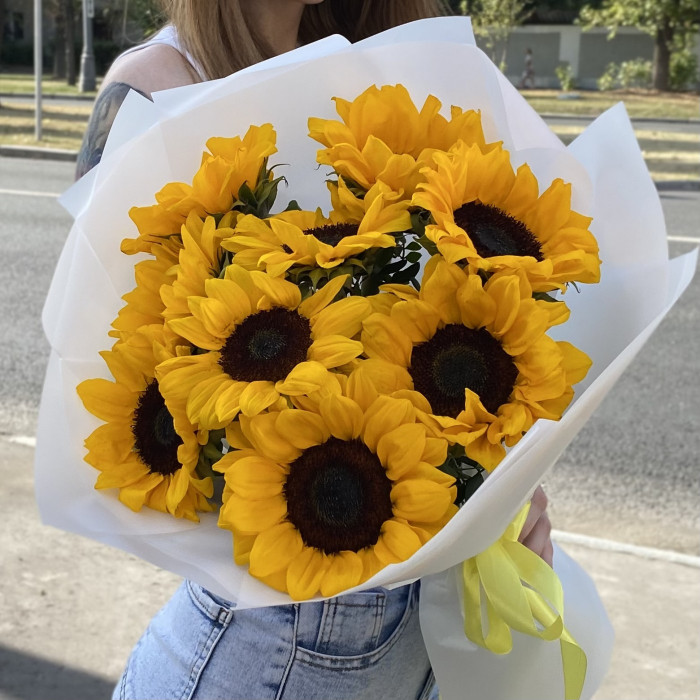 9 подсолнухов в упаковке