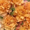 9 пышных роз Фри Спирит с гринбеллом 50 см