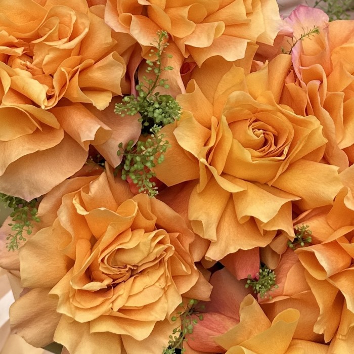 9 пышных роз Фри Спирит с гринбеллом