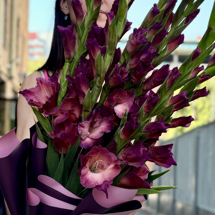 9 розово-фиолетовых гладиолусов в упаковке
