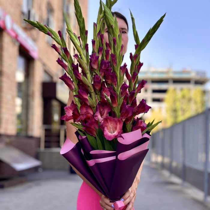 9 розово-фиолетовых гладиолусов в упаковке