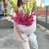 9 розово-малиновых гладиолусов