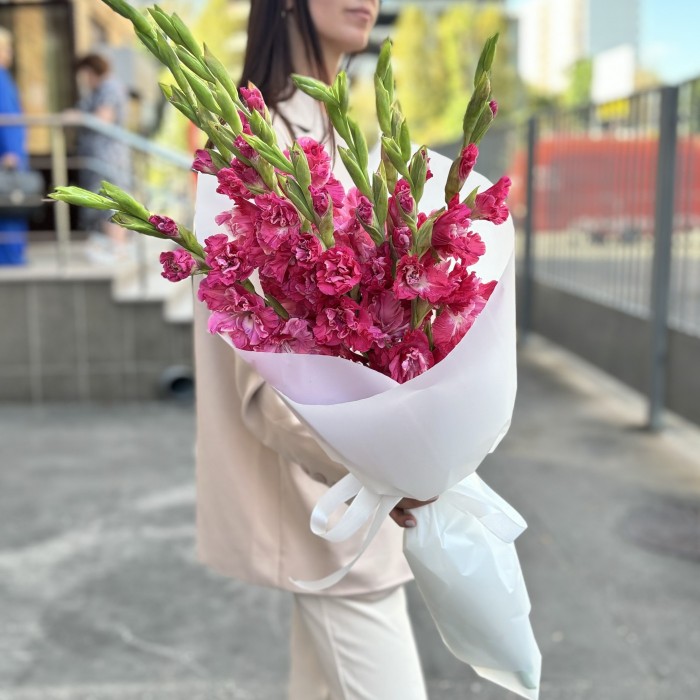 9 розово-малиновых гладиолусов