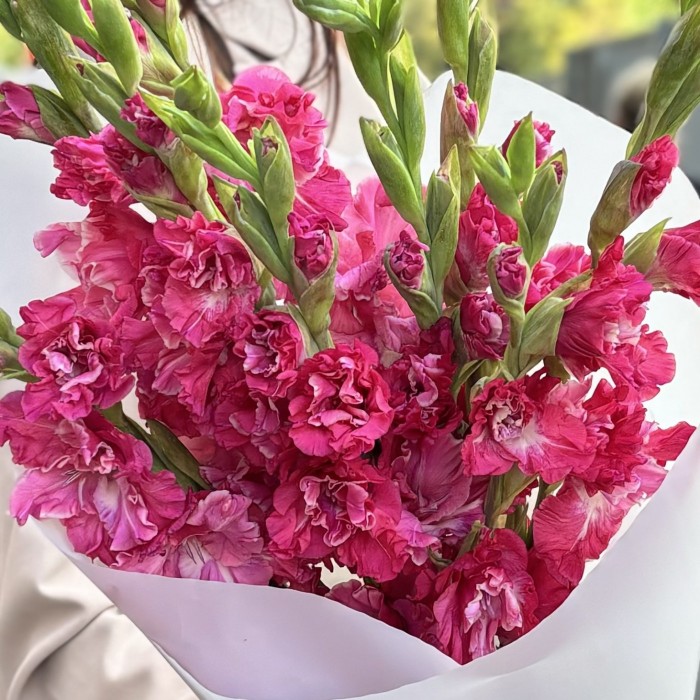 9 розово-малиновых гладиолусов