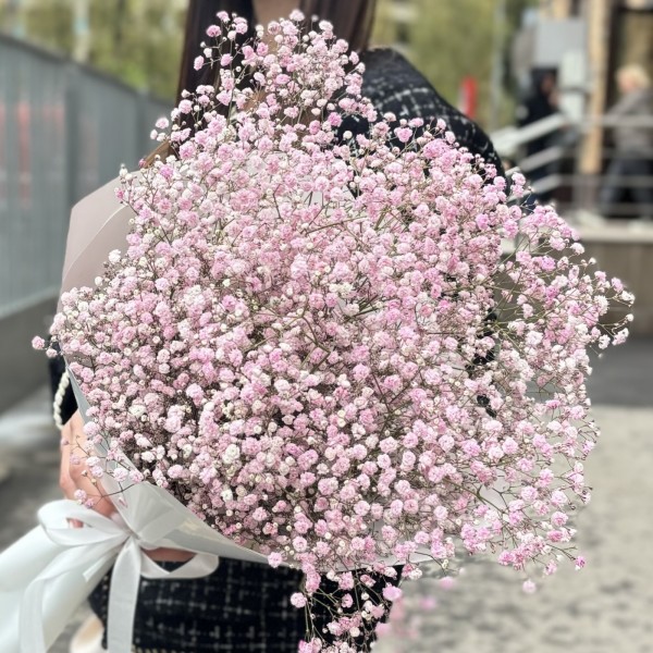 9 розовых гипсофил в упаковке