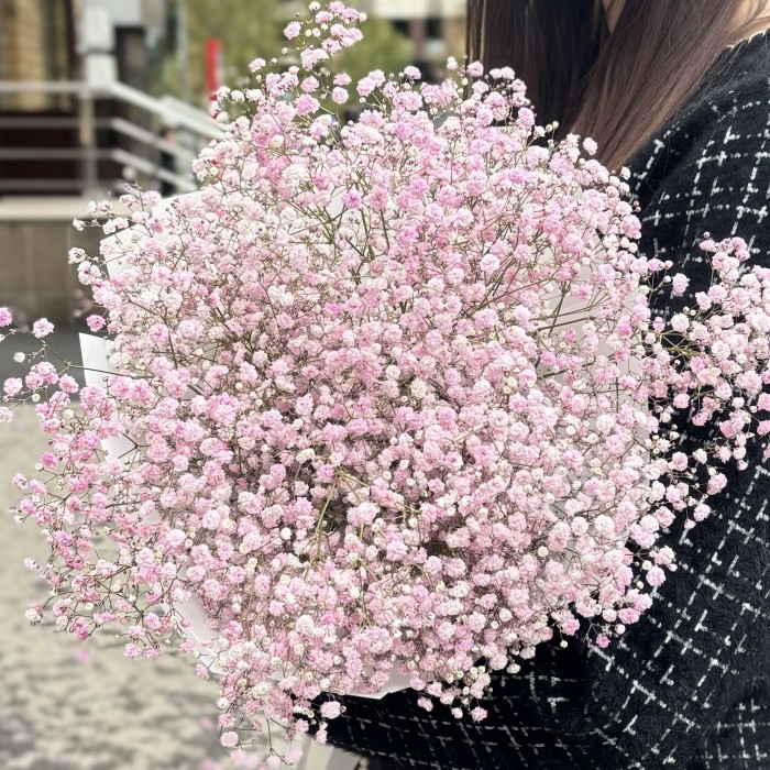 9 розовых гипсофил в упаковке