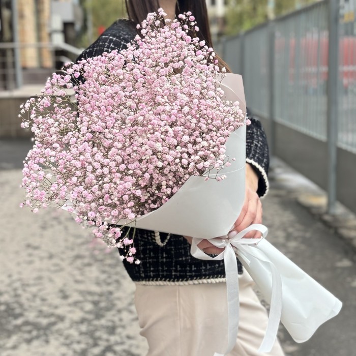 9 розовых гипсофил в упаковке