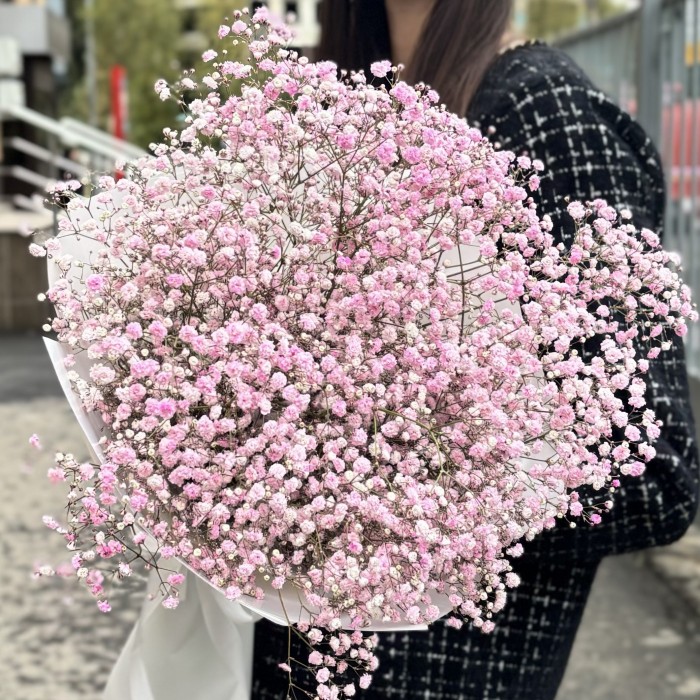 9 розовых гипсофил в упаковке