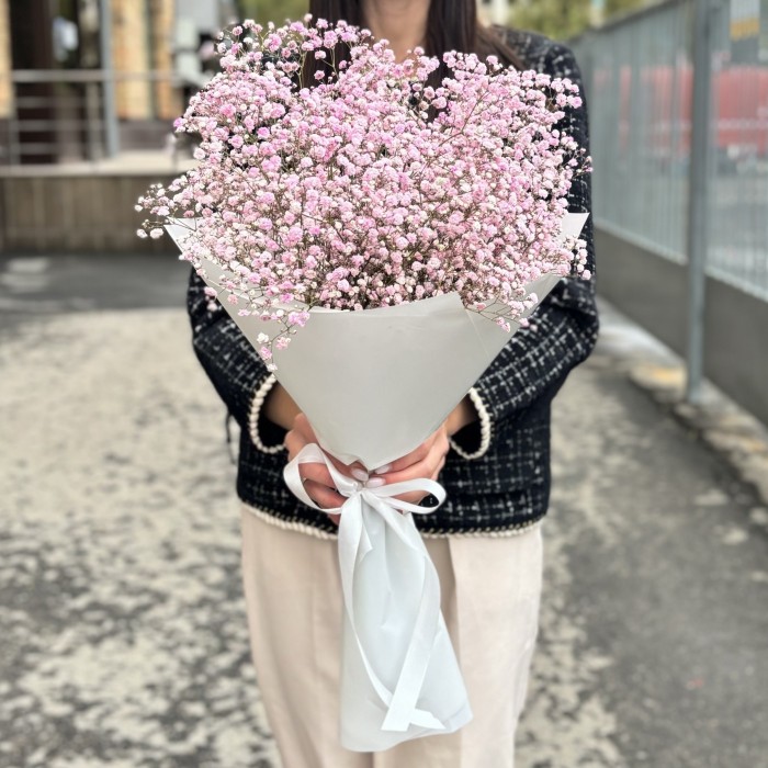 9 розовых гипсофил в упаковке