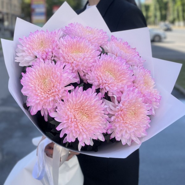 9 розовых хризантем Минка