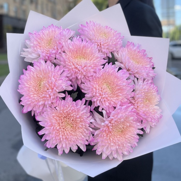 9 розовых хризантем Минка