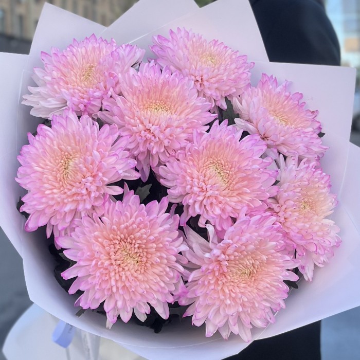 9 розовых хризантем Минка