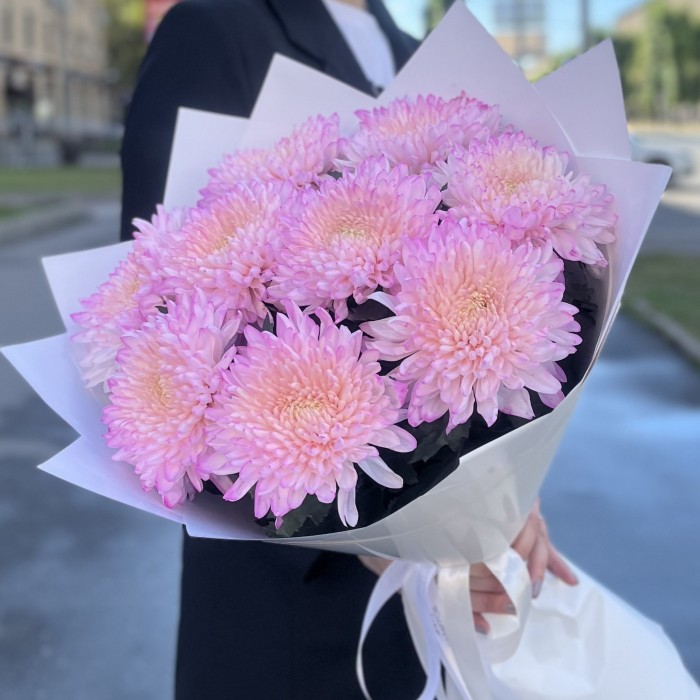 9 розовых хризантем Минка